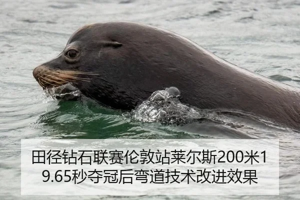 田径钻石联赛伦敦站莱尔斯200米19.65秒夺冠后弯道技术改进效果